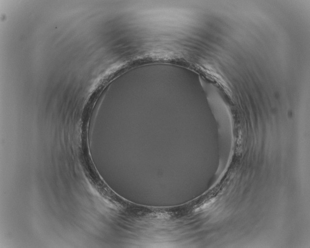 X0000088470492200706121533