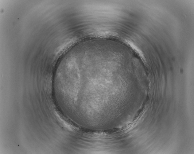 X0000088470493200706121533