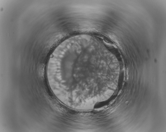 X0000088470495200706121533