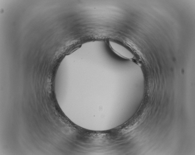 X0000088470497200706121533