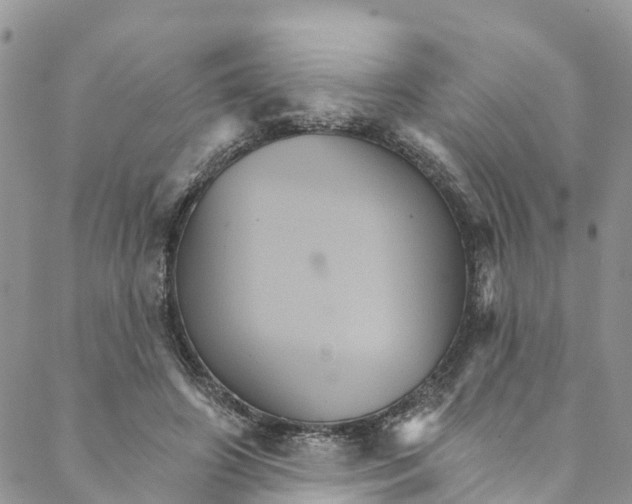 X0000088470498200706121533