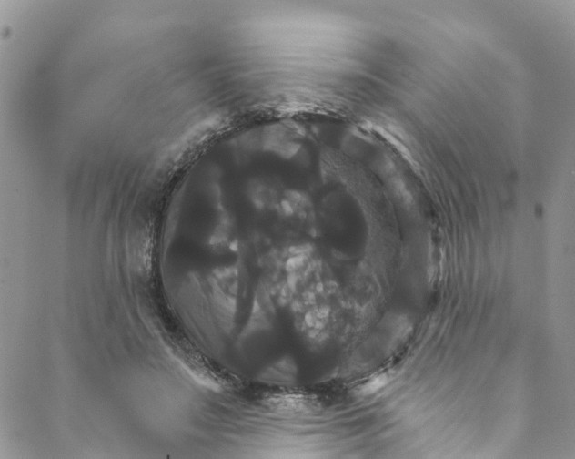 X0000088470499200706121533