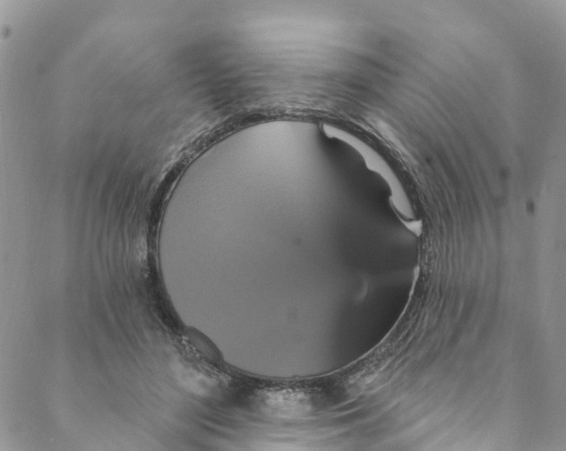 X0000088470500200706121533