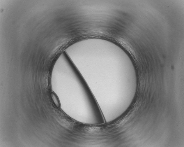 X0000088470501200706121533