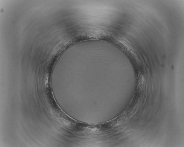 X0000088470502200706121533