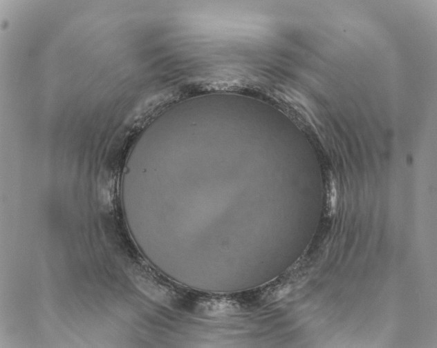 X0000088470503200706121533