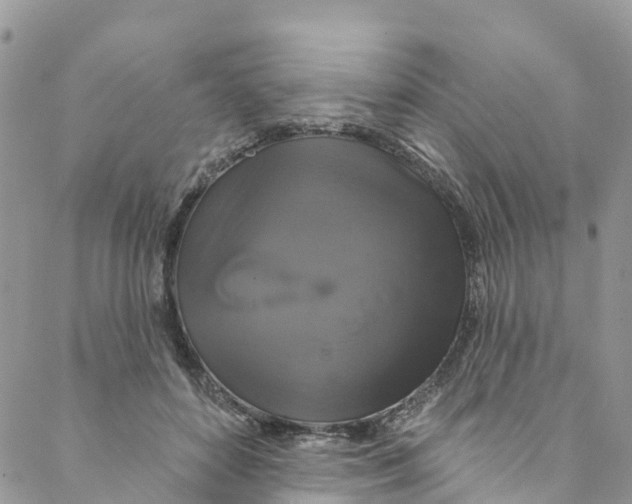 X0000088470504200706121533