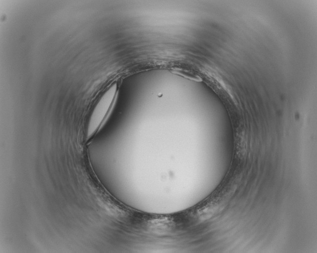 X0000088470505200706121533