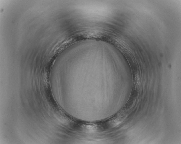 X0000088470506200706121533