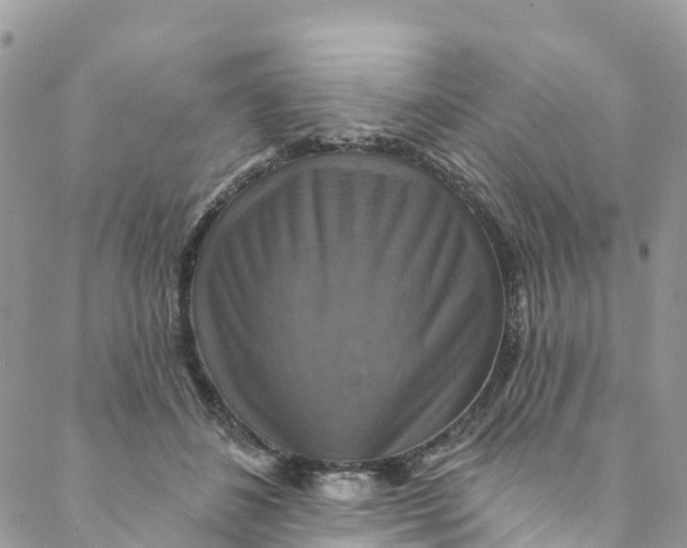 X0000088470508200706121533