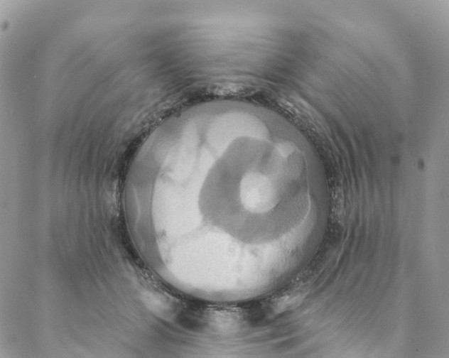 X0000088470510200706121533