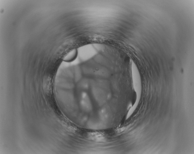 X0000088470511200706121533