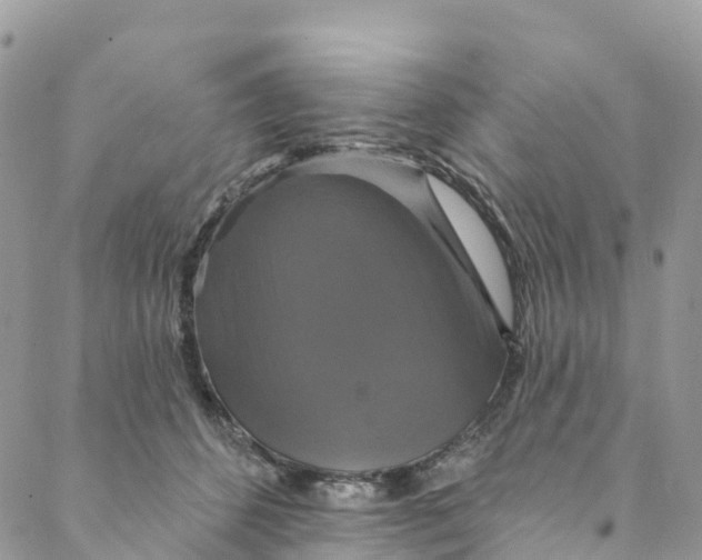 X0000088470512200706121533