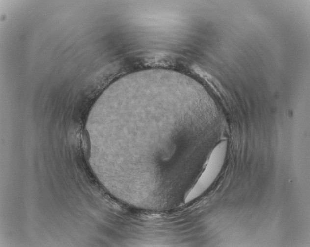 X0000088470513200706121533