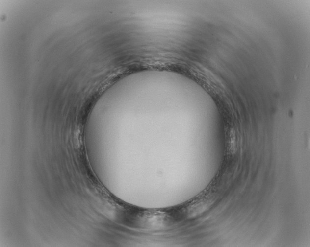 X0000088470514200706121532