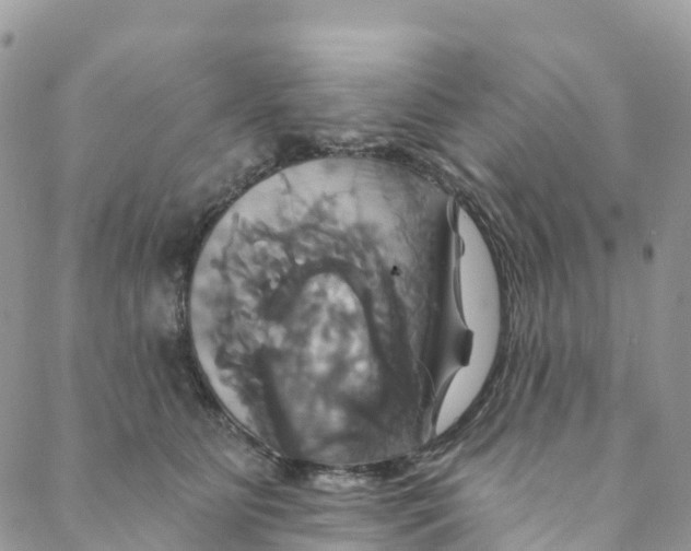 X0000088470515200706121532