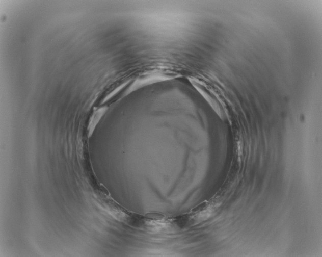 X0000088470516200706121532