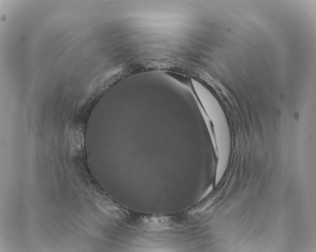 X0000088470517200706121532