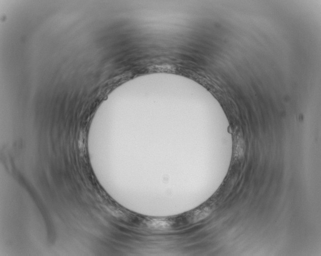 X0000088470518200706121532