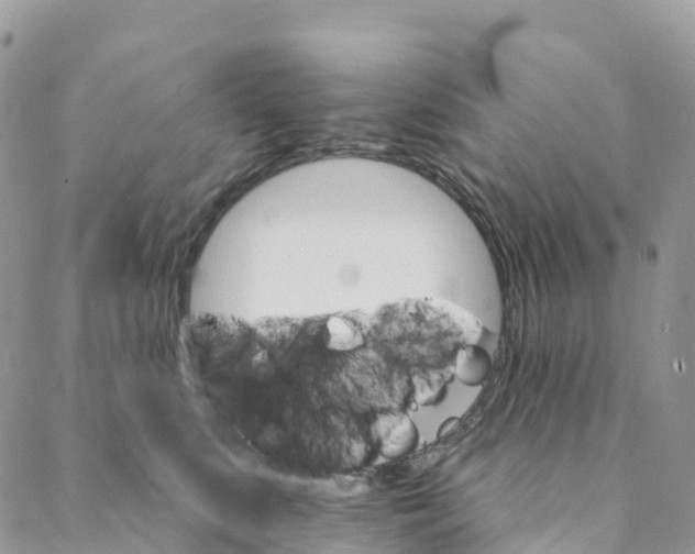 X0000088470519200706121532