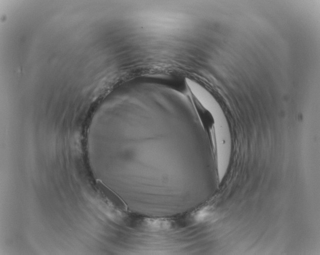 X0000088470520200706121532