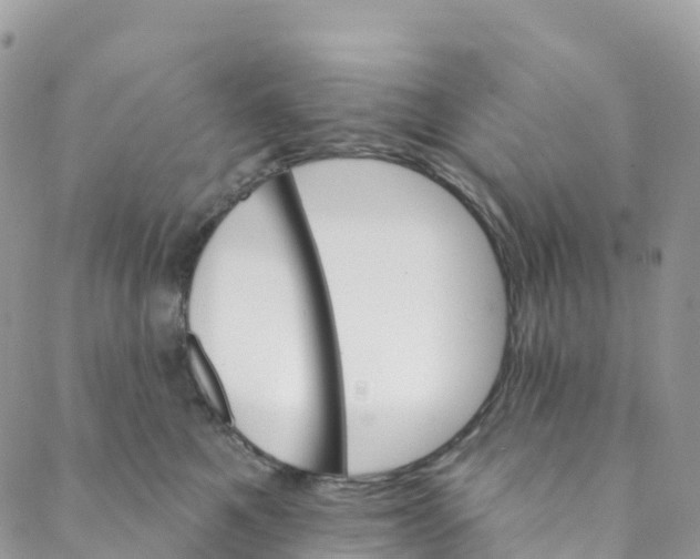 X0000088470521200706121532