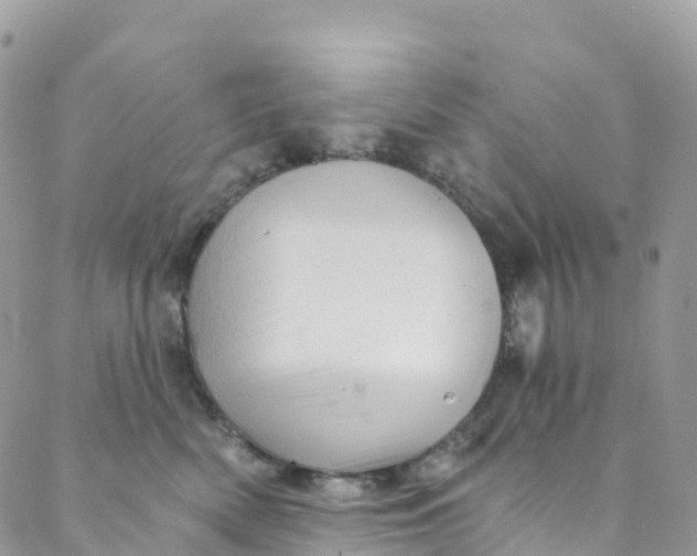 X0000088470522200706121532