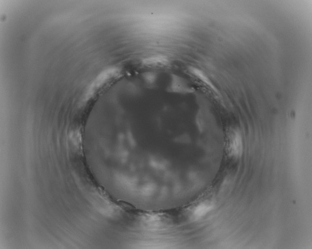 X0000088470523200706121532