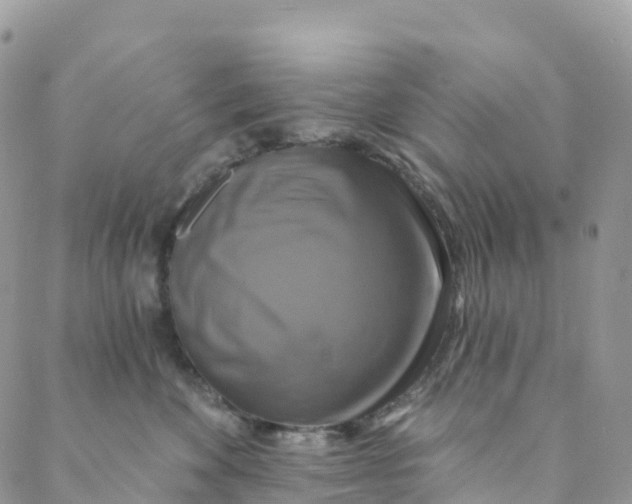 X0000088470524200706121532