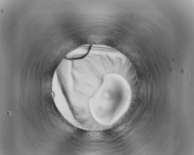 X0000088470526200706121532