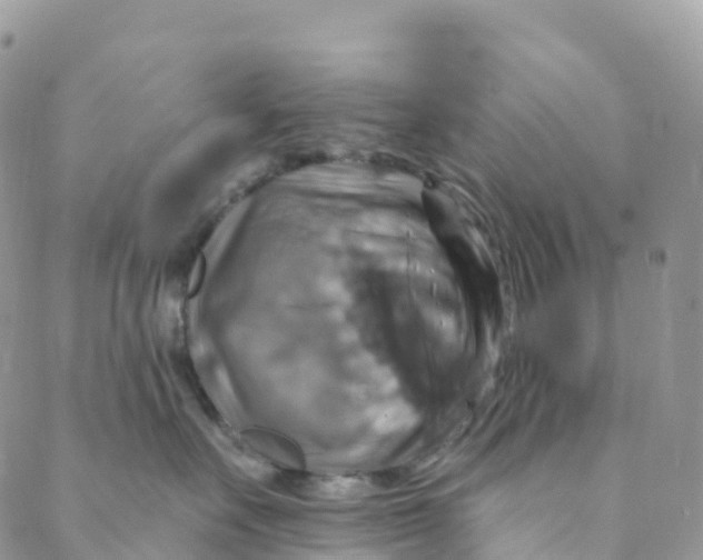 X0000088470527200706121532