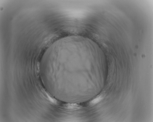 X0000088470528200706121532