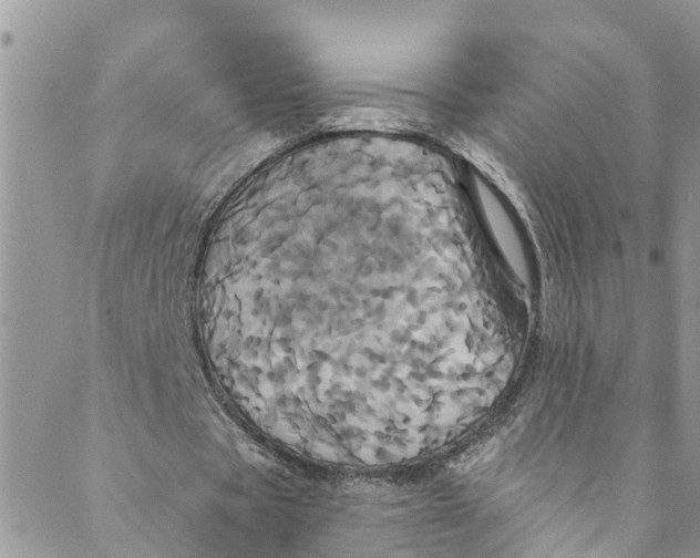 X0000088470529200706121531