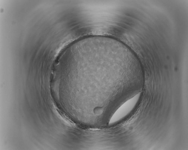 X0000088470530200706121531