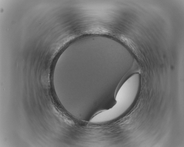 X0000088470531200706121531