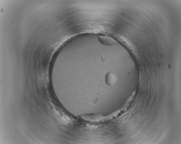 X0000088470532200706121532