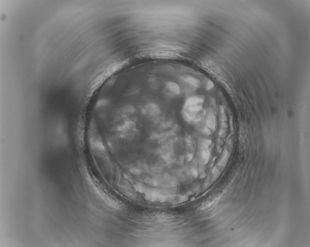 X0000088470533200706121532