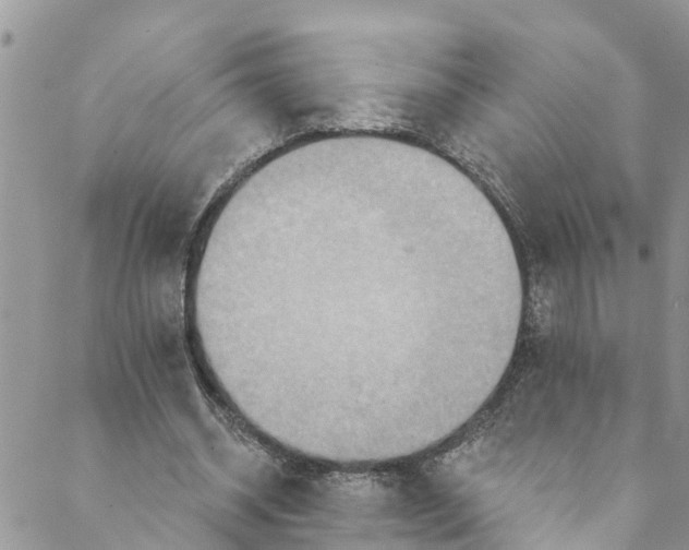 X0000088470534200706121532