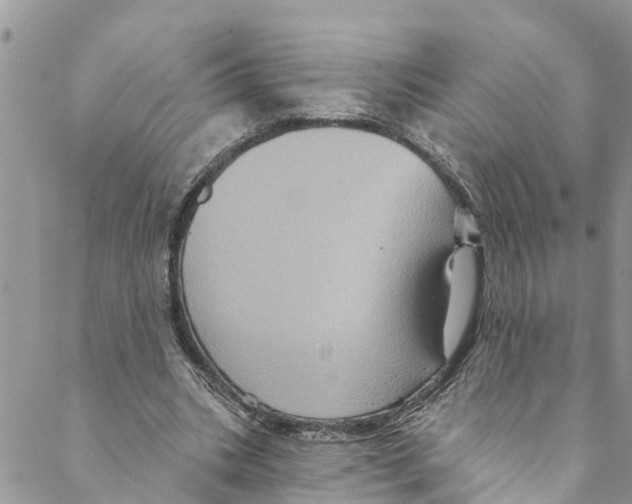 X0000088470535200706121532