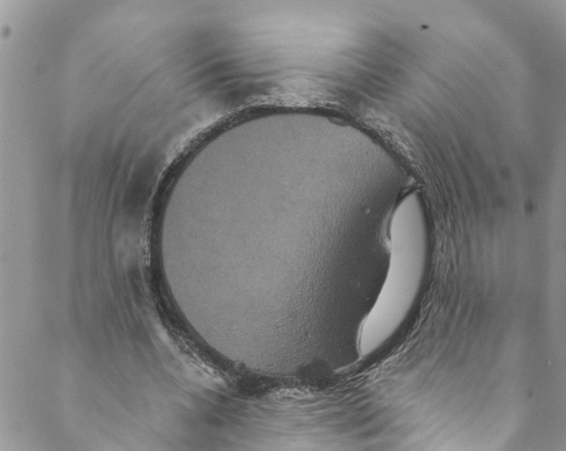 X0000088470536200706121532