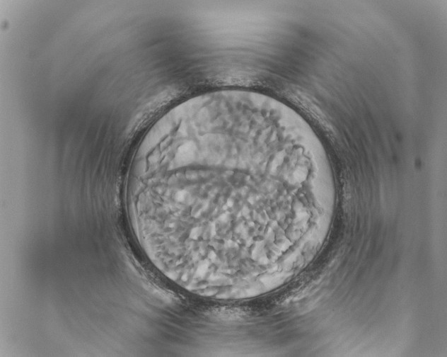 X0000088470537200706121532