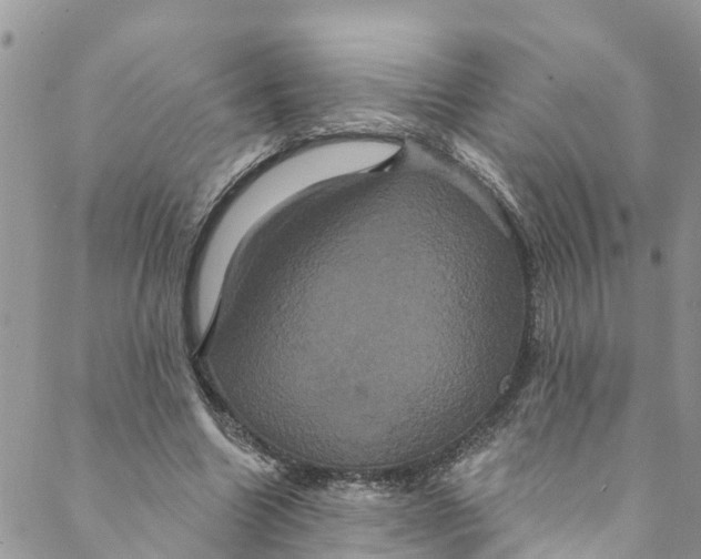 X0000088470538200706121532