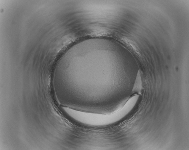 X0000088470539200706121532