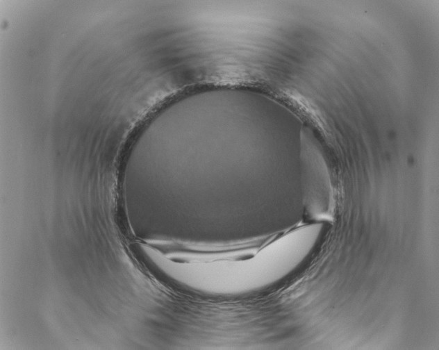 X0000088470540200706121532