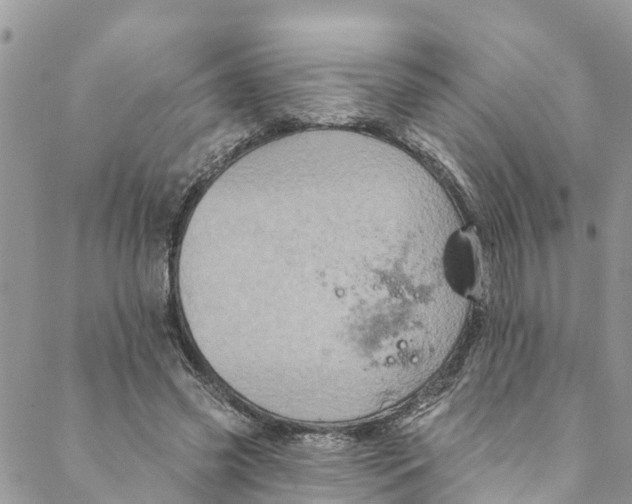 X0000088470541200706121532