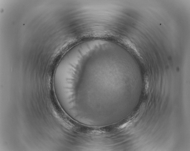 X0000088470542200706121532