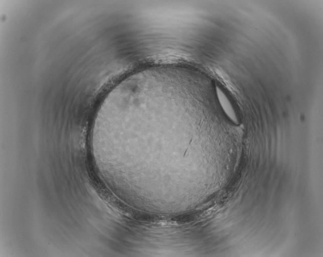 X0000088470543200706121532