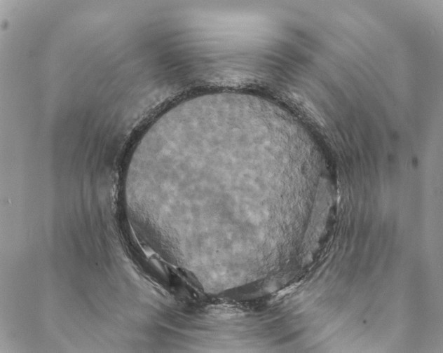 X0000088470544200706121532