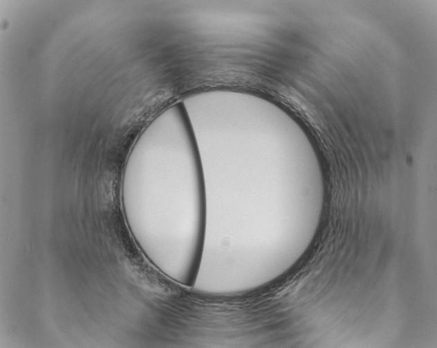 X0000088470546200706121532