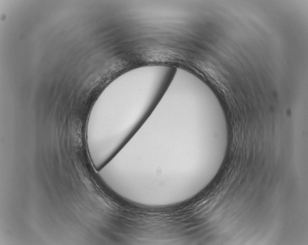 X0000088470547200706121532